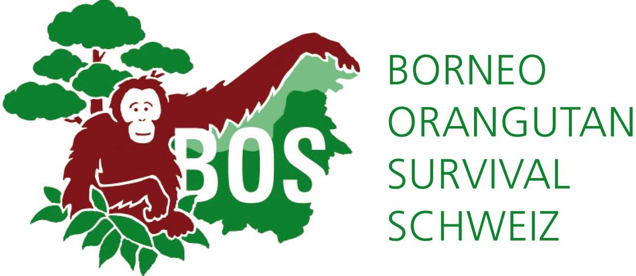 BOS (Borneo OrangUtan Survival) Schweiz